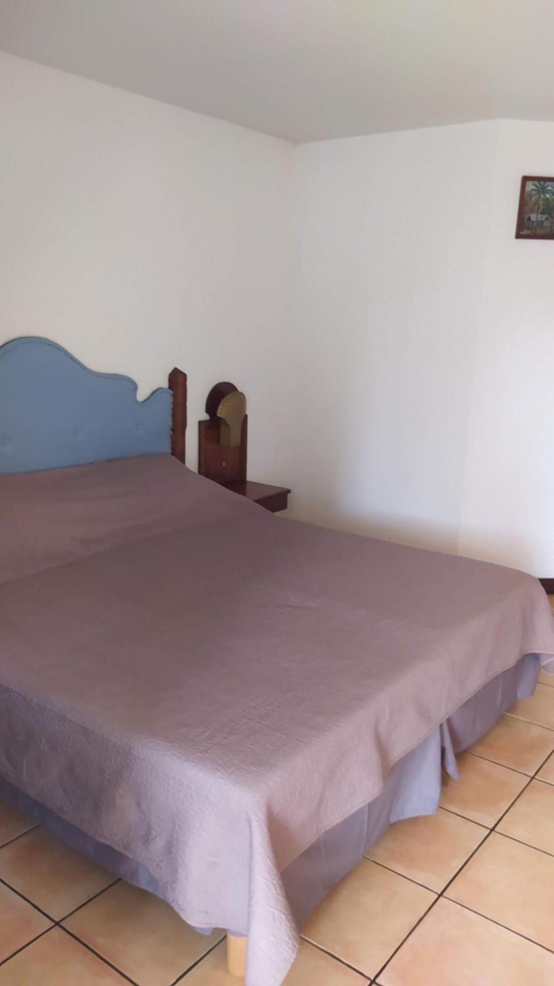 Studio Hibiscus سانت آن المظهر الخارجي الصورة