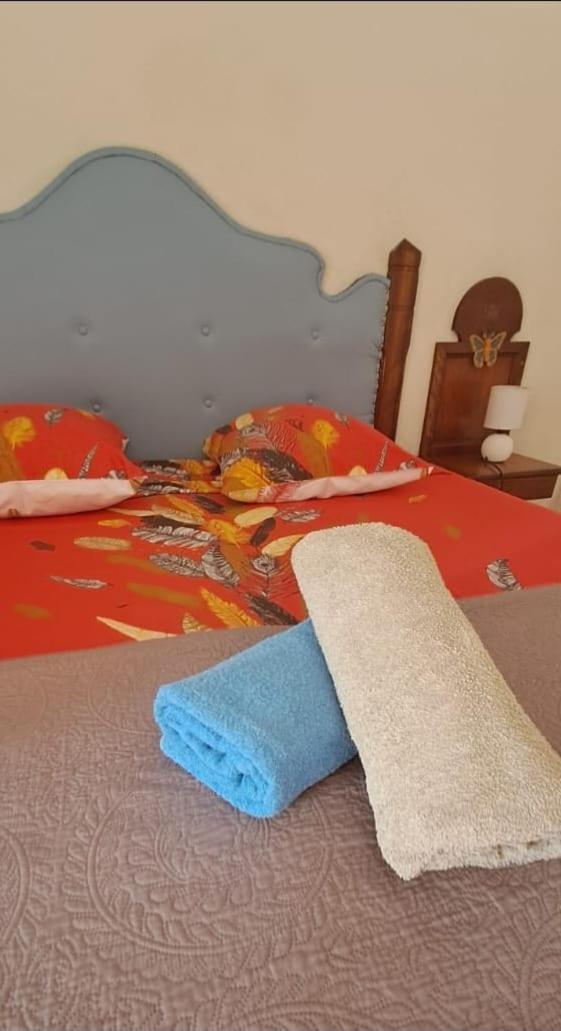 Studio Hibiscus سانت آن المظهر الخارجي الصورة